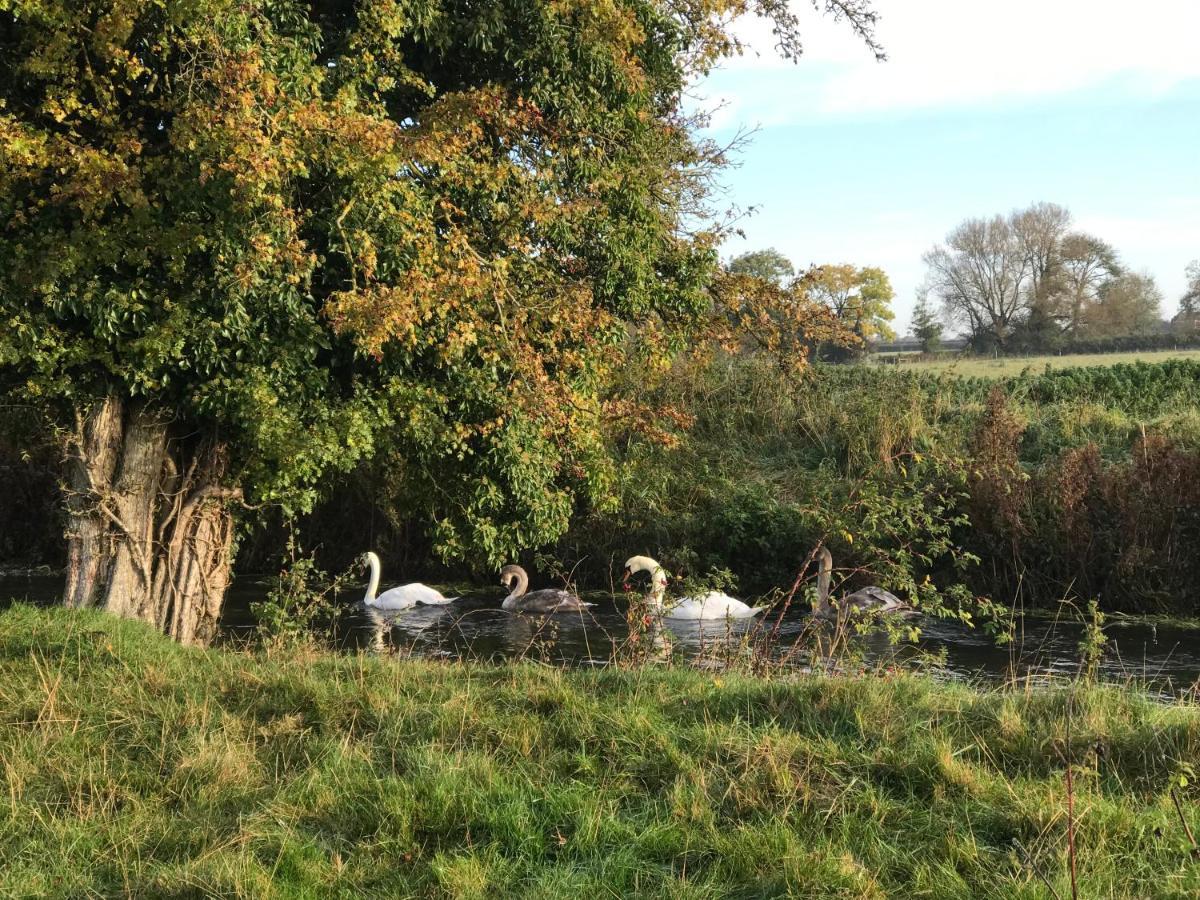 Tupenny Cottage, Old Mill Farm, Cotswold Water Park Cirencester Exteriér fotografie